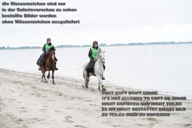 s_K3F04825.JPG